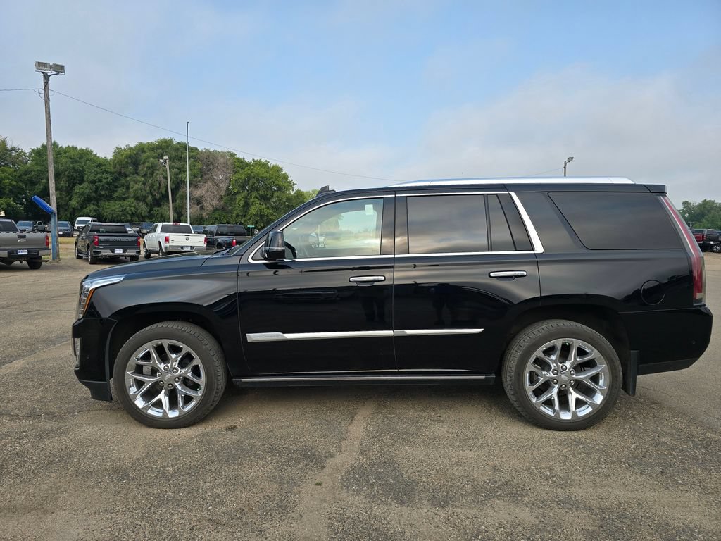 Used 2020 Cadillac Escalade Platinum AWD/4WD image 1