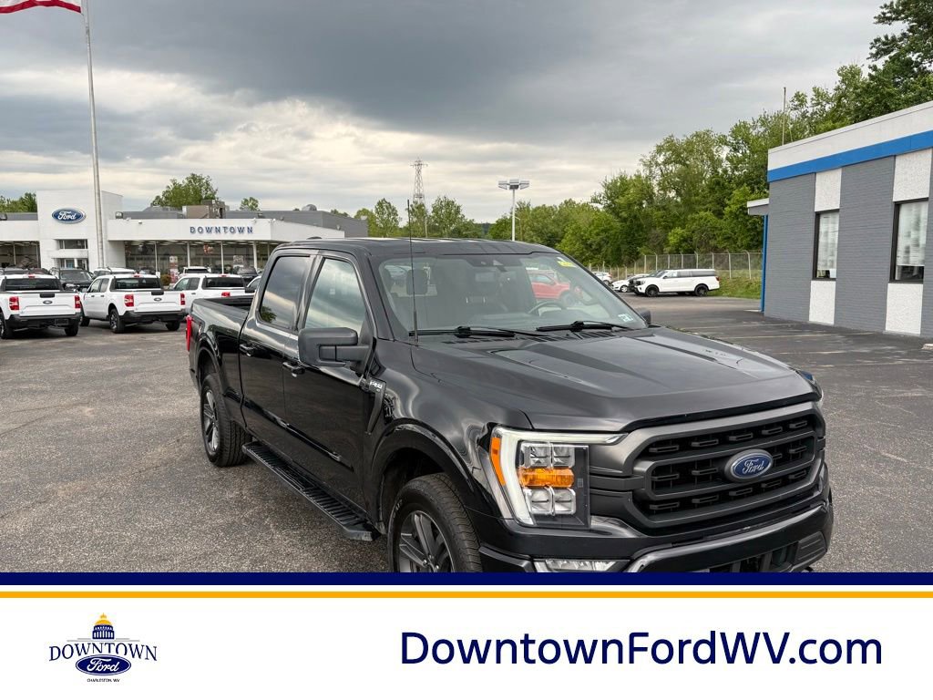 Used 2023 Ford F150 XLT w/ Equipment Group 302A High
