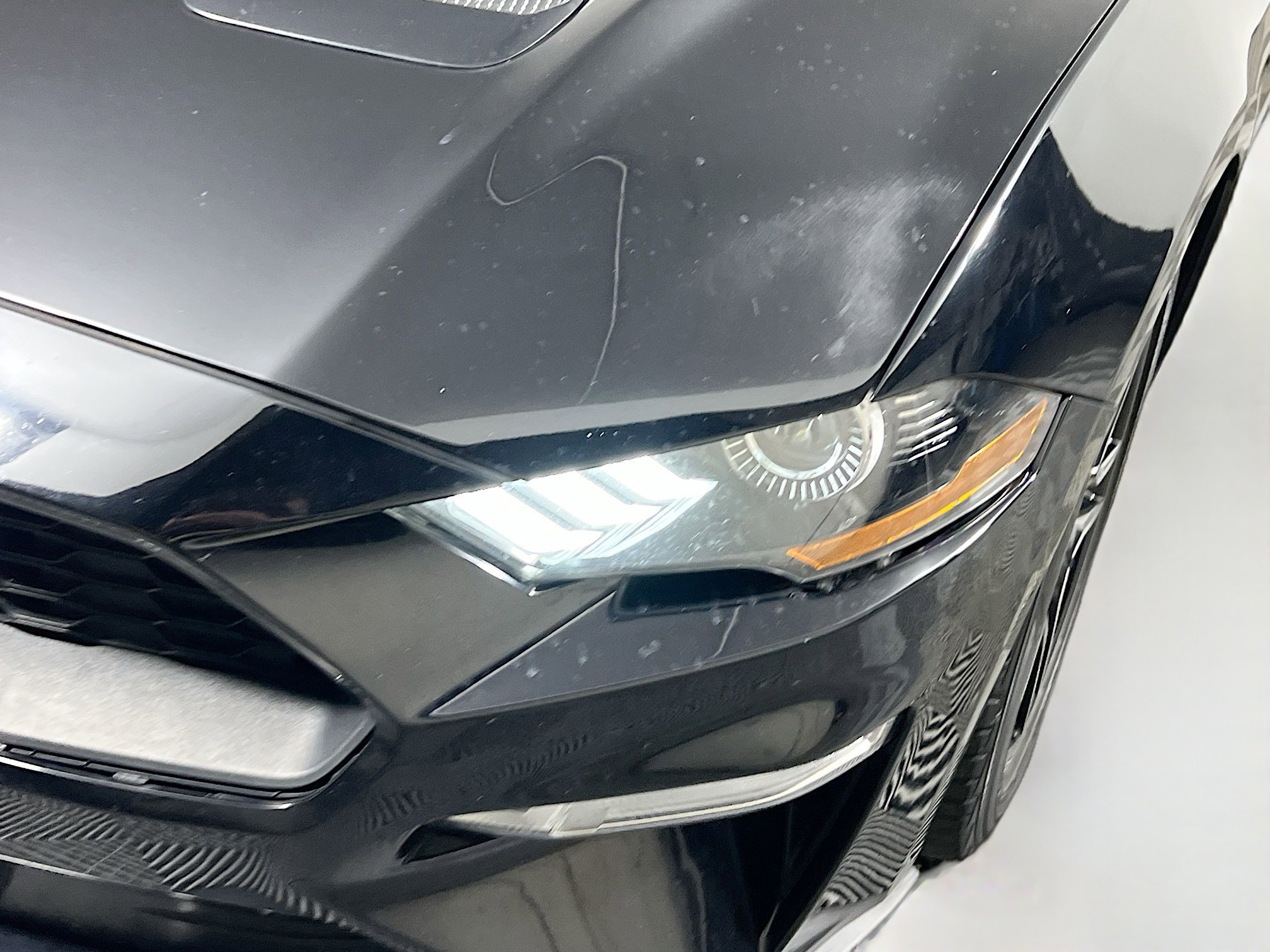 Used 2019 Ford Mustang Premium image 11