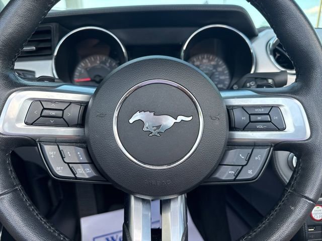 Used 2017 Ford Mustang GT Premium w/ Equipment Group 401A RWD image 20