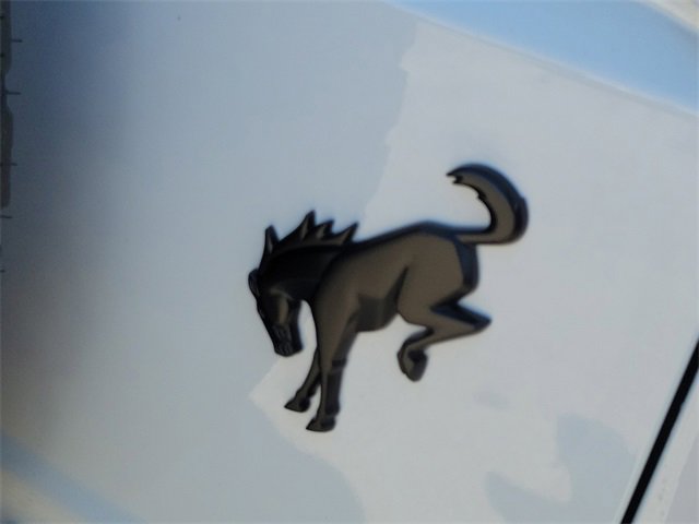 New 2025 Ford Bronco Big Bend image 5