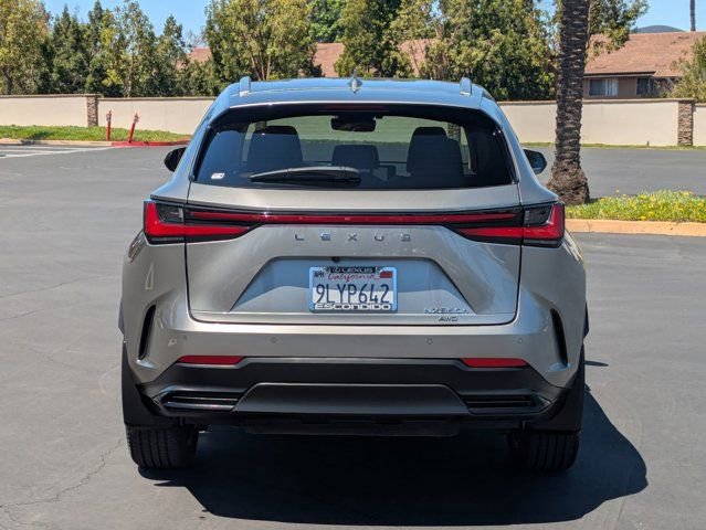 Used 2025 Lexus NX 350h AWD w/ Cold Area Package image 6