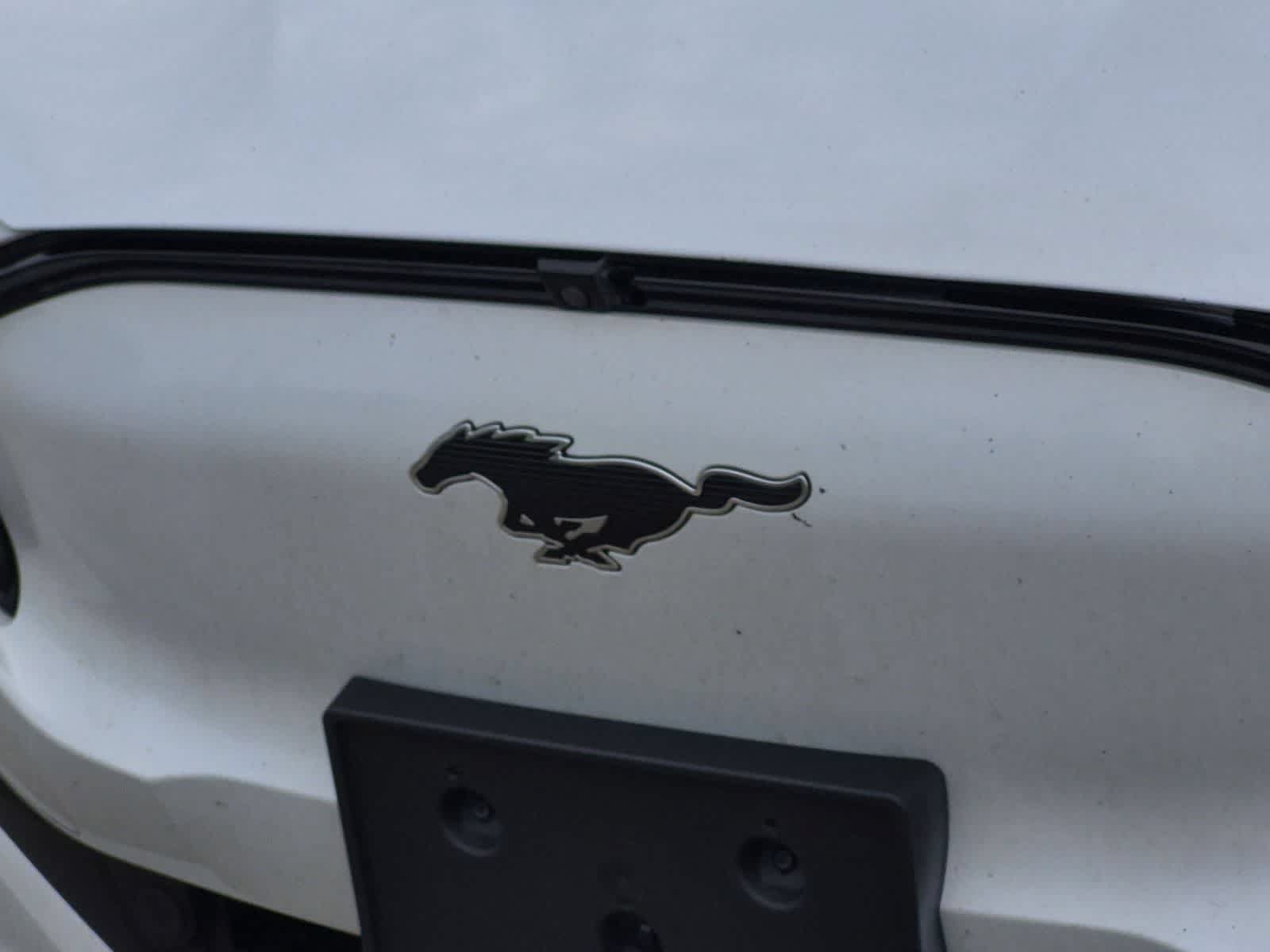 Used 2021 Ford Mustang Mach-E Premium AWD/4WD image 12