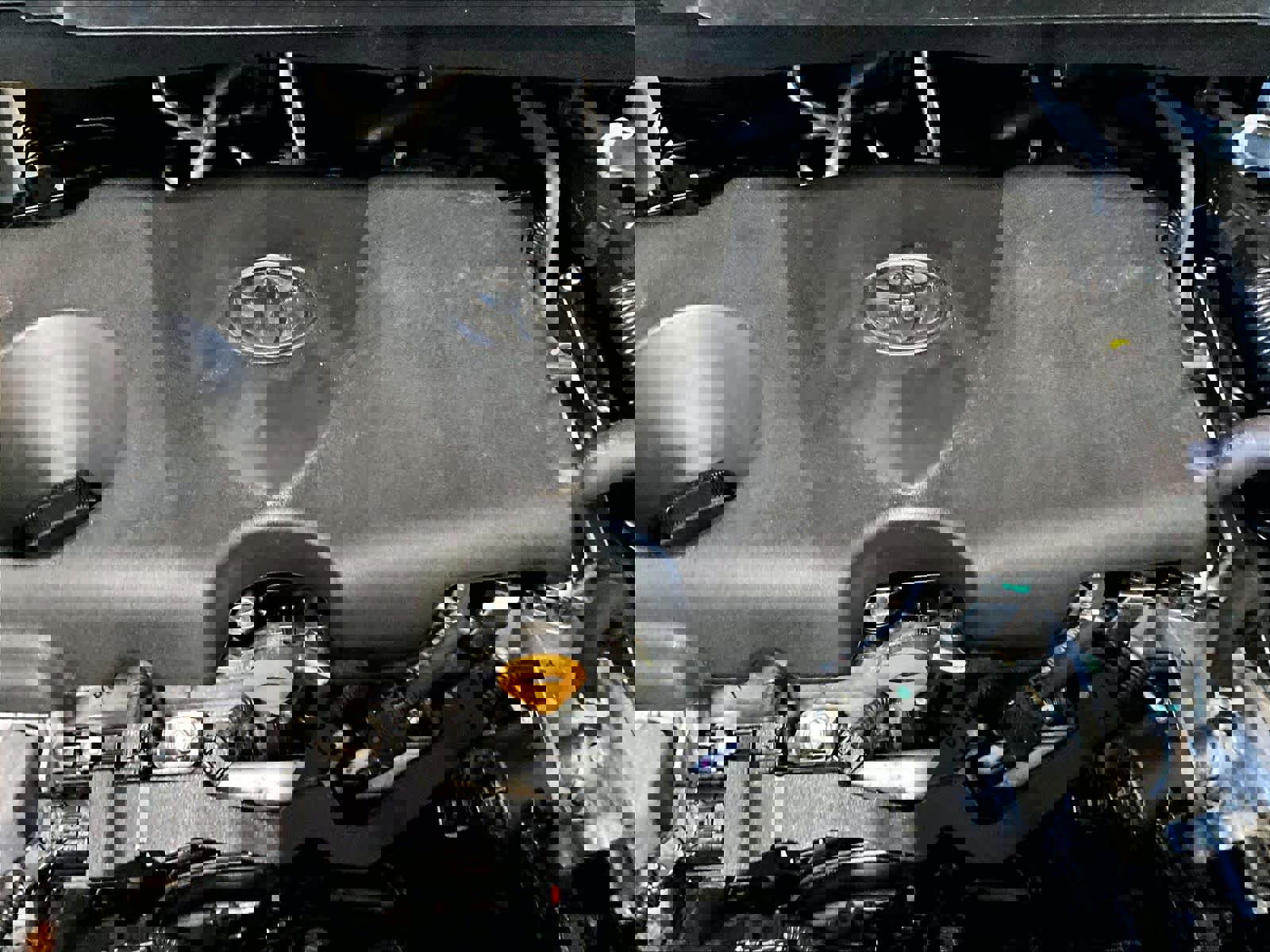 Used 2025 Toyota Sienna LE image 35