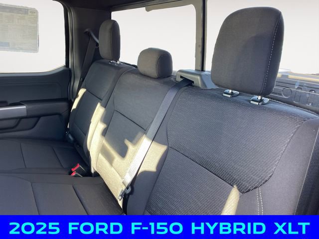 New 2025 Ford F150 XLT w/ Equipment Group 302A MID image 13