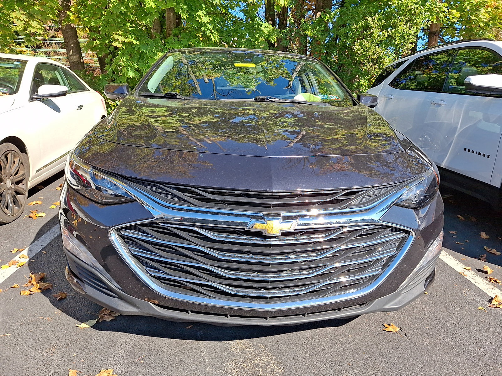 Certified 2023 Chevrolet Malibu LT image 3