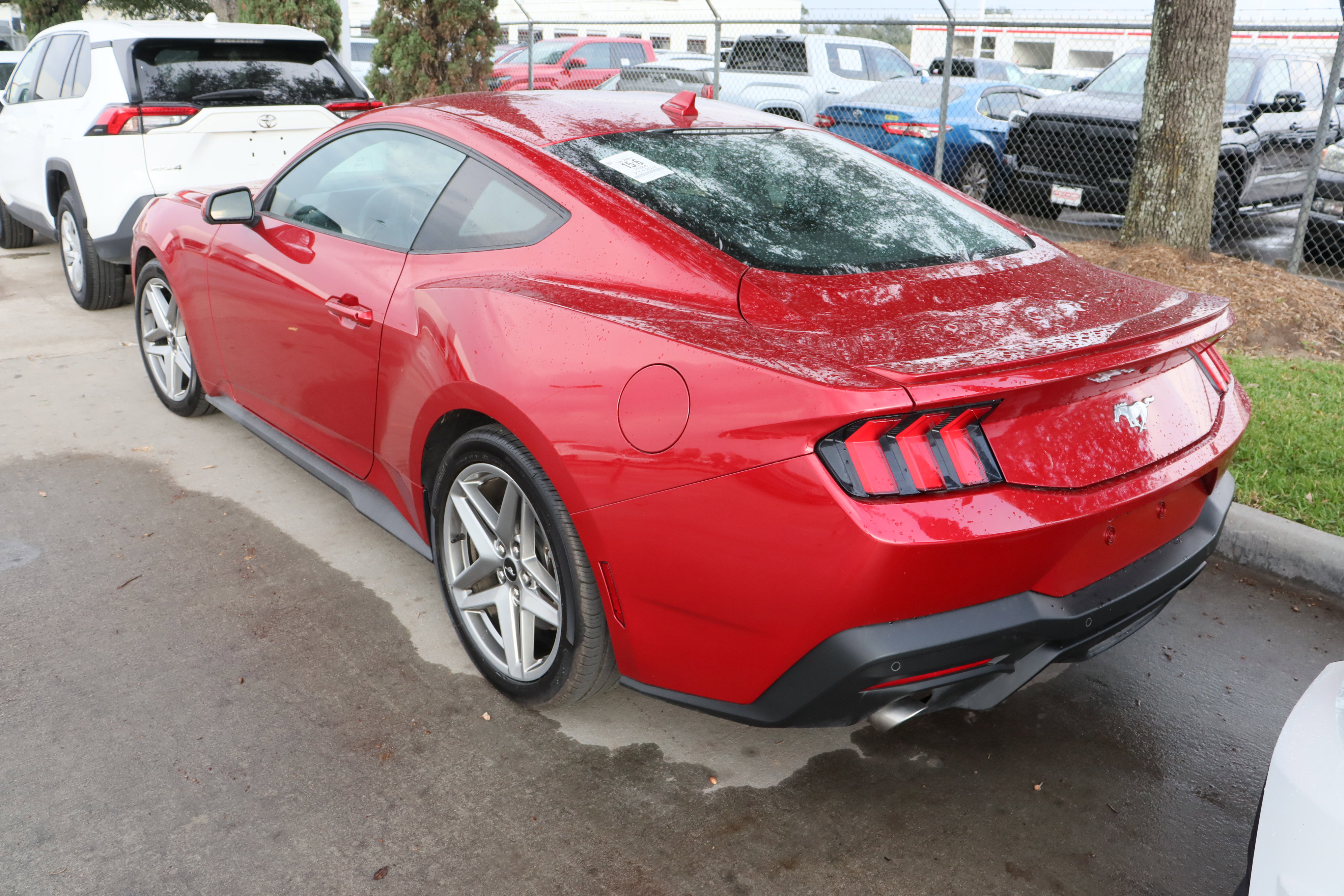 Used 2024 Ford Mustang Premium image 8