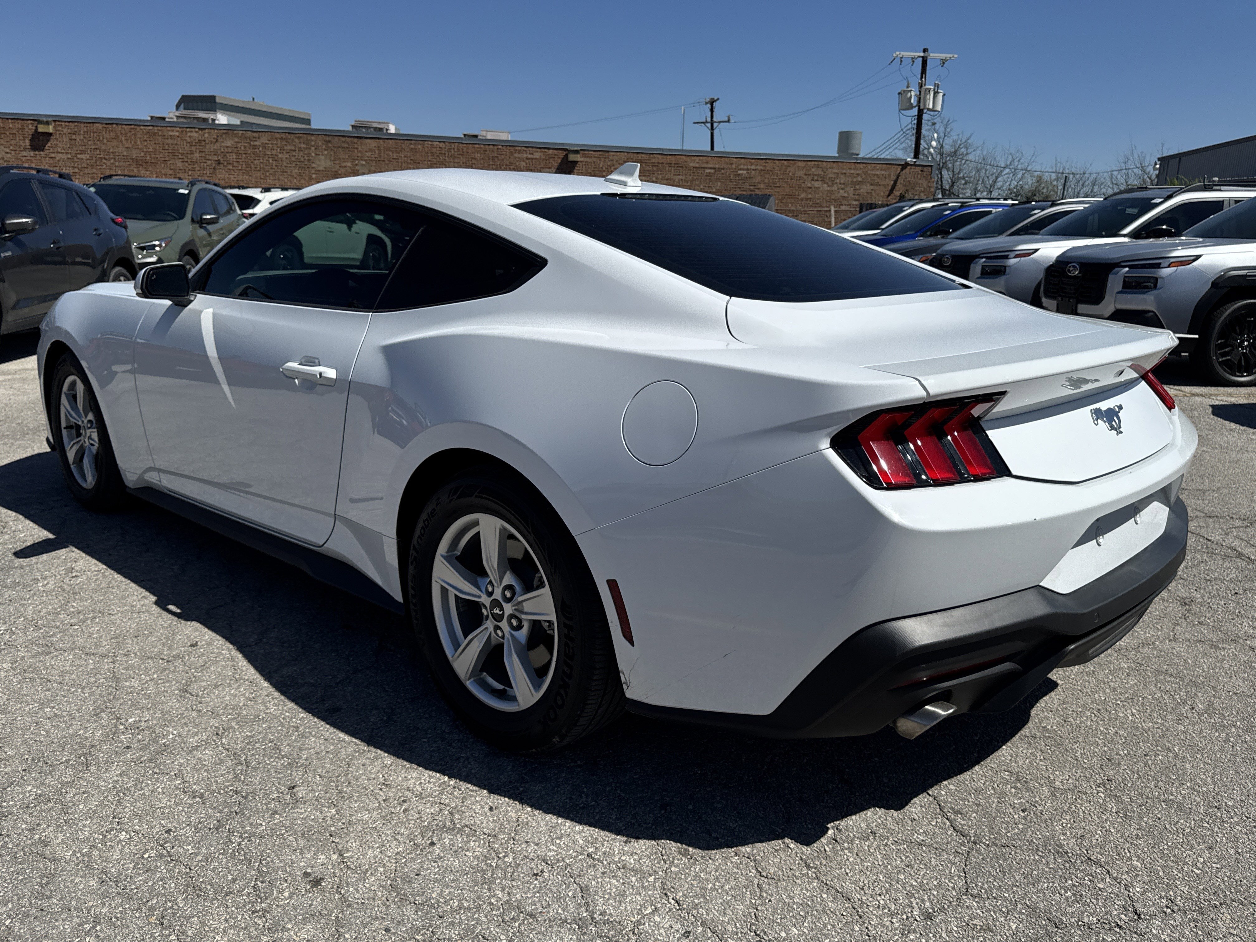 Used 2024 Ford Mustang EcoBoost image 5