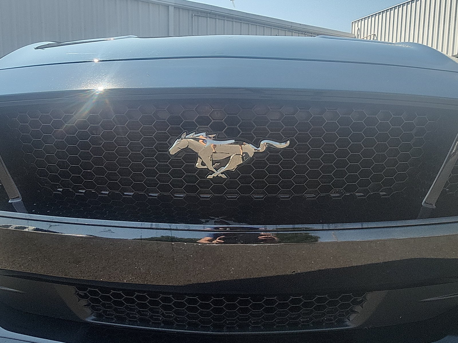 Used 2022 Ford Mustang GT Premium w/ Equipment Group 401A RWD image 14