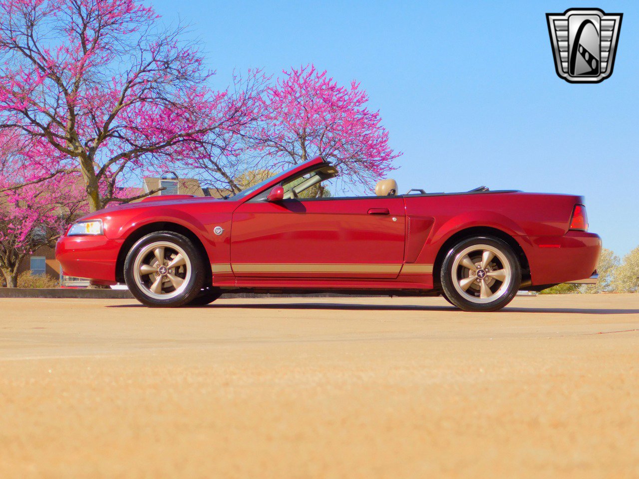 Used 2004 Ford Mustang GT image 4