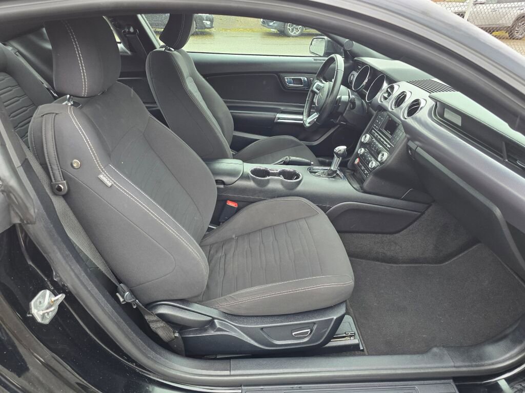 Used 2017 Ford Mustang EcoBoost image 12