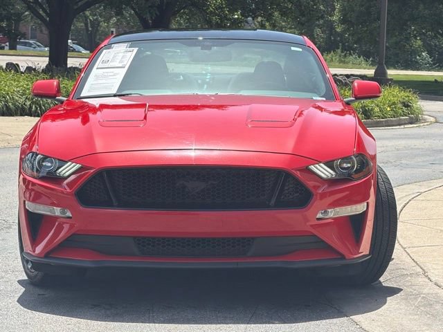 Used 2019 Ford Mustang GT w/ Equipment Group 301A RWD image 2