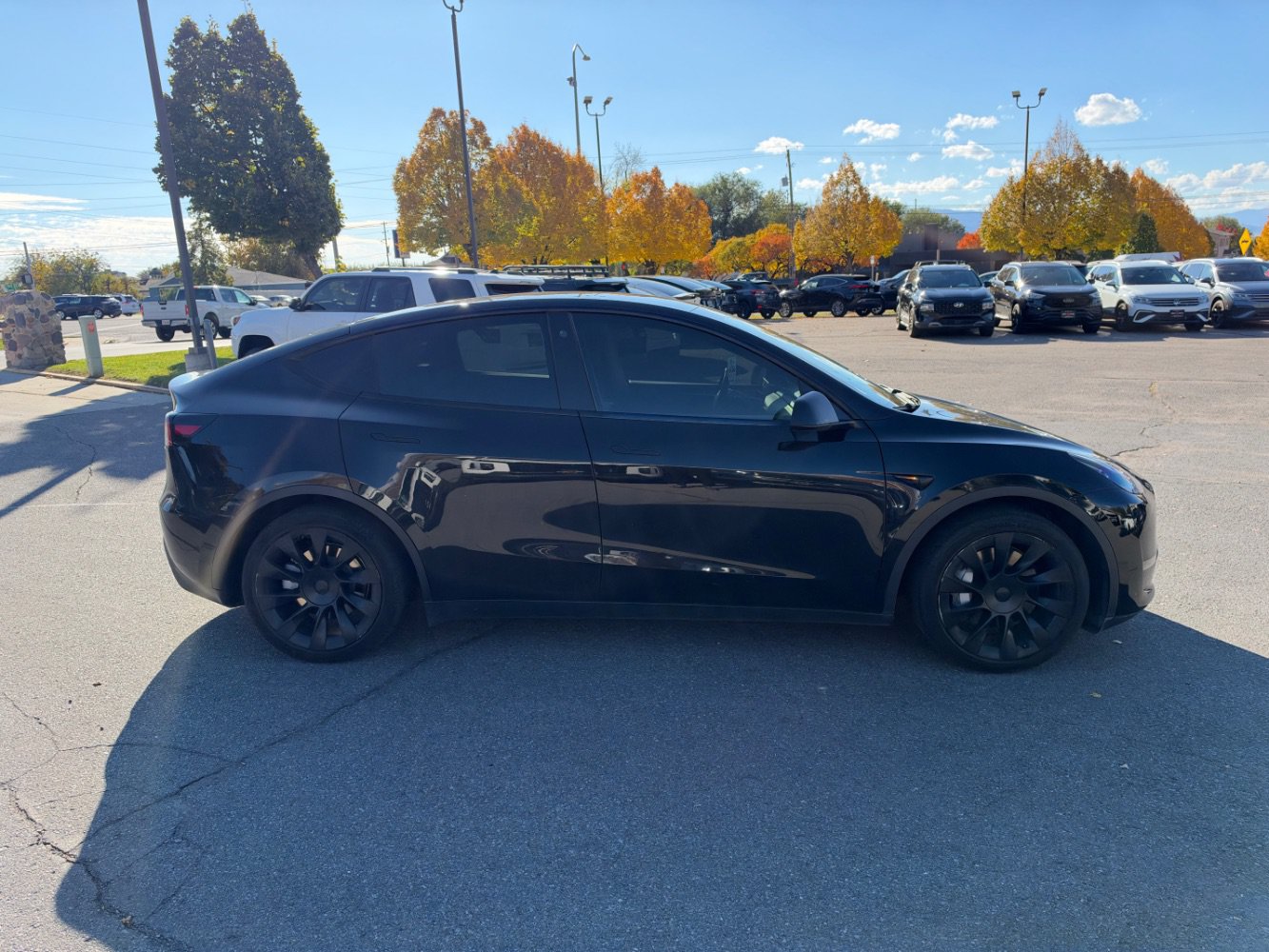Used 2023 Tesla Model Y Long Range AWD/4WD image 6