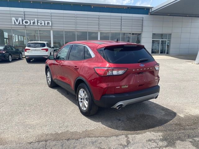 Used 2022 Ford Escape SE AWD/4WD image 7