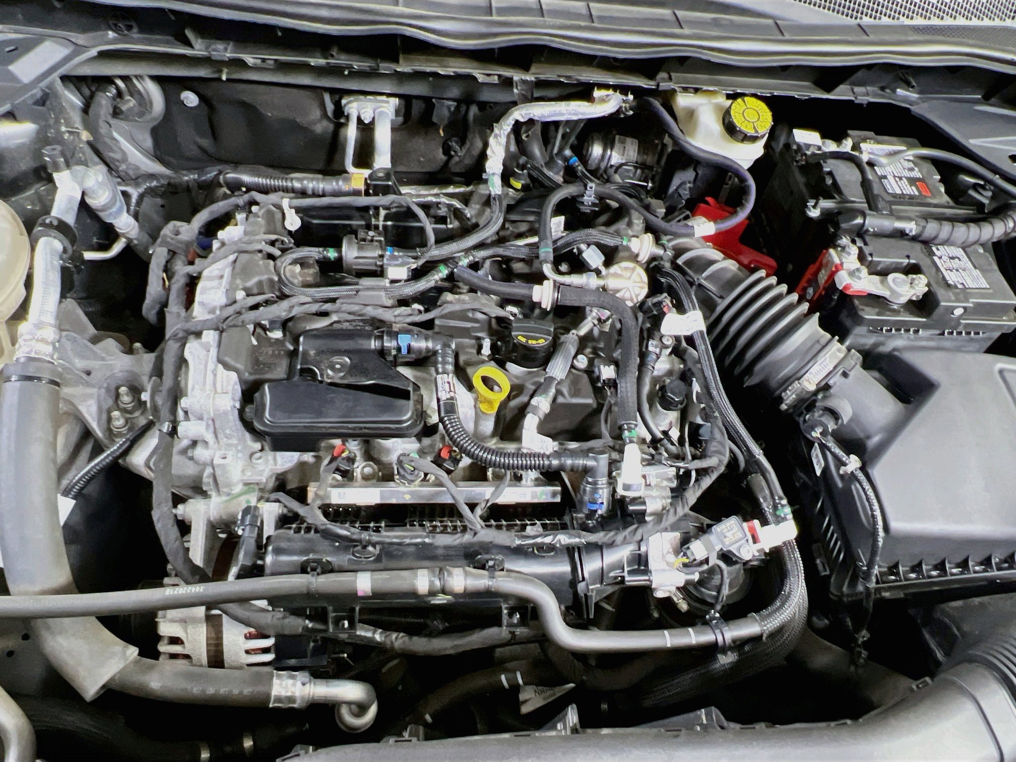 Used 2020 Ford Escape SE image 30