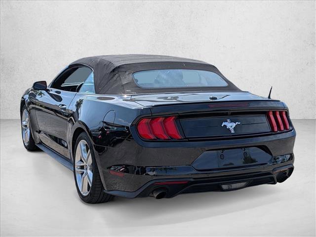 Used 2019 Ford Mustang Premium w/ Equipment Group 201A RWD image 5