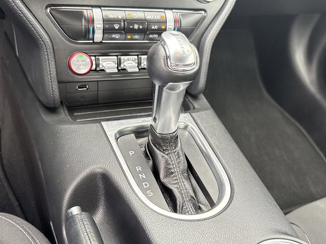 Certified 2019 Ford Mustang GT w/ Equipment Group 301A RWD image 33