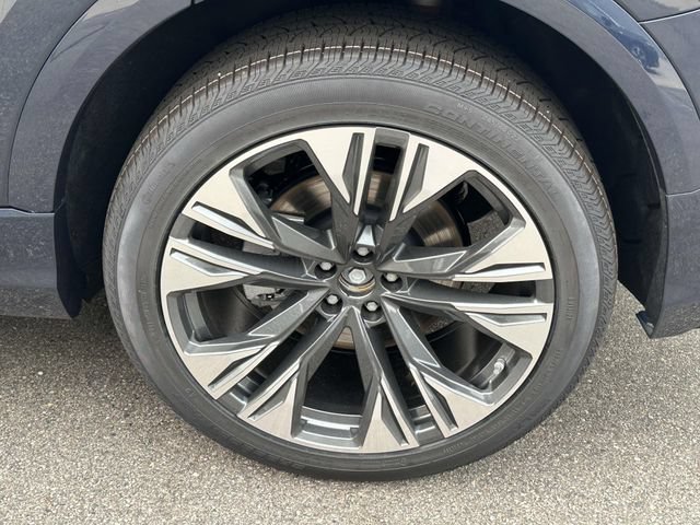 New 2026 Audi Q8 Premium Plus AWD/4WD image 4