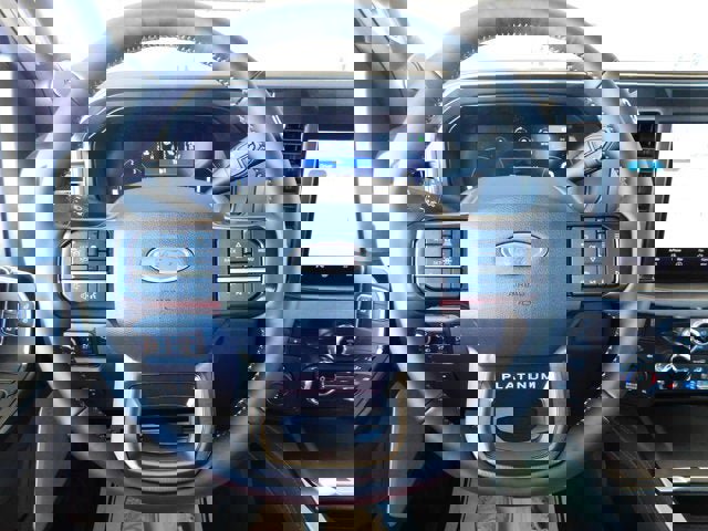 New 2026 Ford F250 Platinum image 23