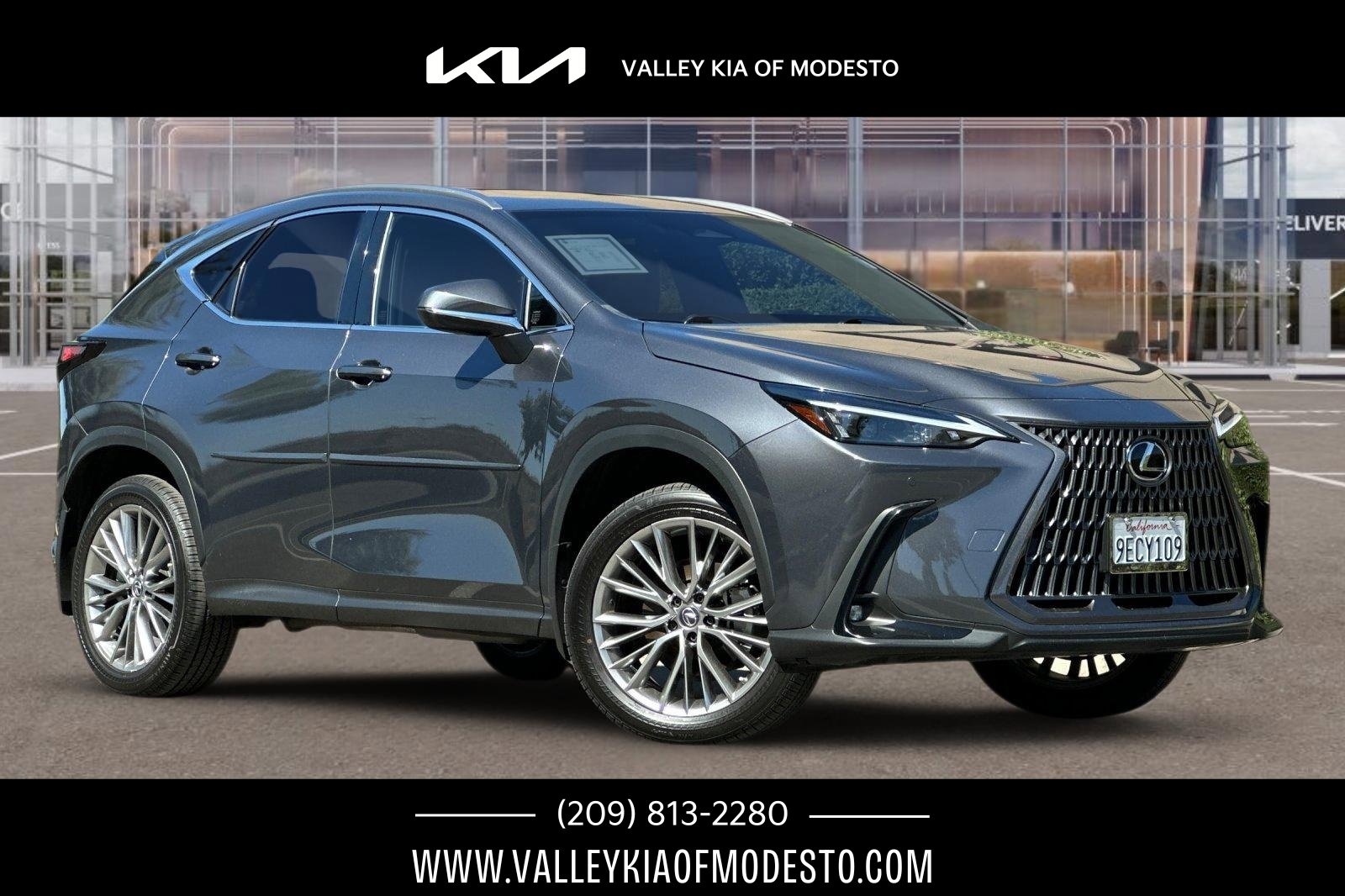 Used 2022 Lexus NX 350h AWD