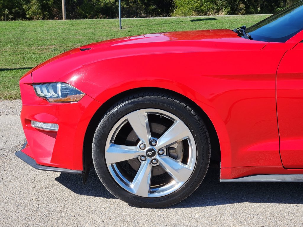 Used 2019 Ford Mustang Premium RWD image 8
