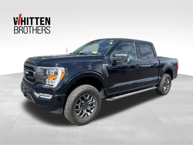 Used 2023 Ford F150 XLT w/ Equipment Group 302A High AWD/4WD image 1