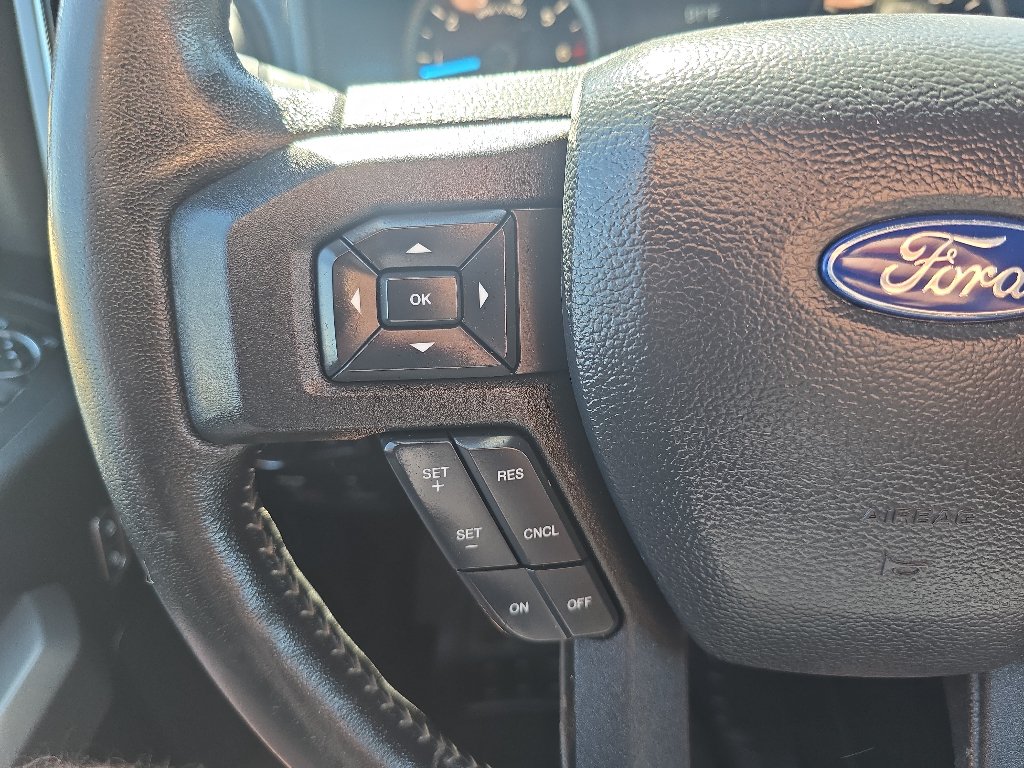 Used 2019 Ford F150 XLT w/ Equipment Group 302A Luxury AWD/4WD image 16