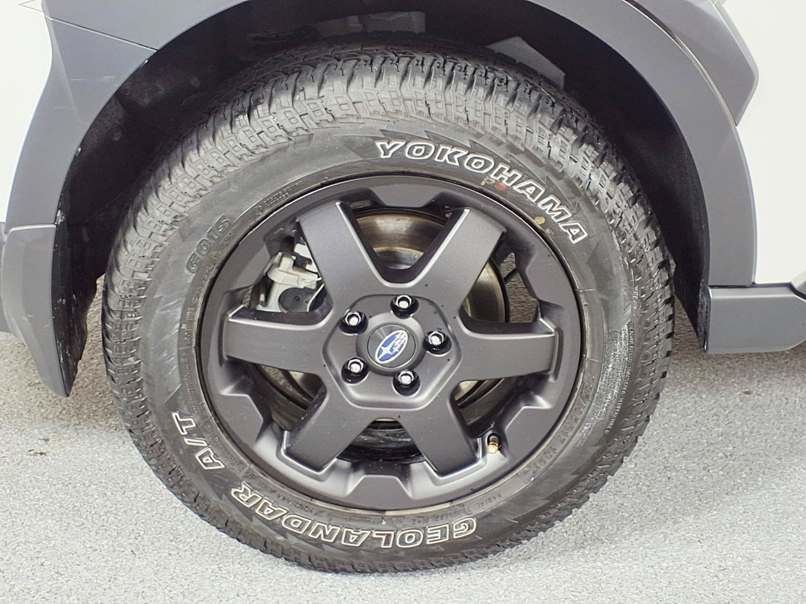Used 2025 Subaru Outback Wilderness AWD/4WD image 3