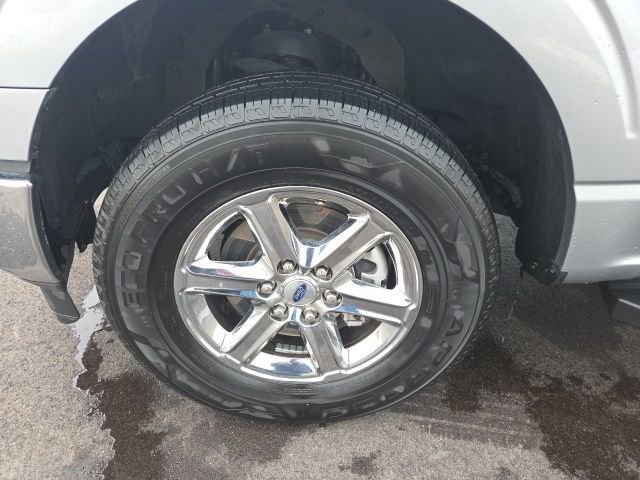 Certified 2025 Ford F150 XLT w/ Equipment Group 301A Standard image 12