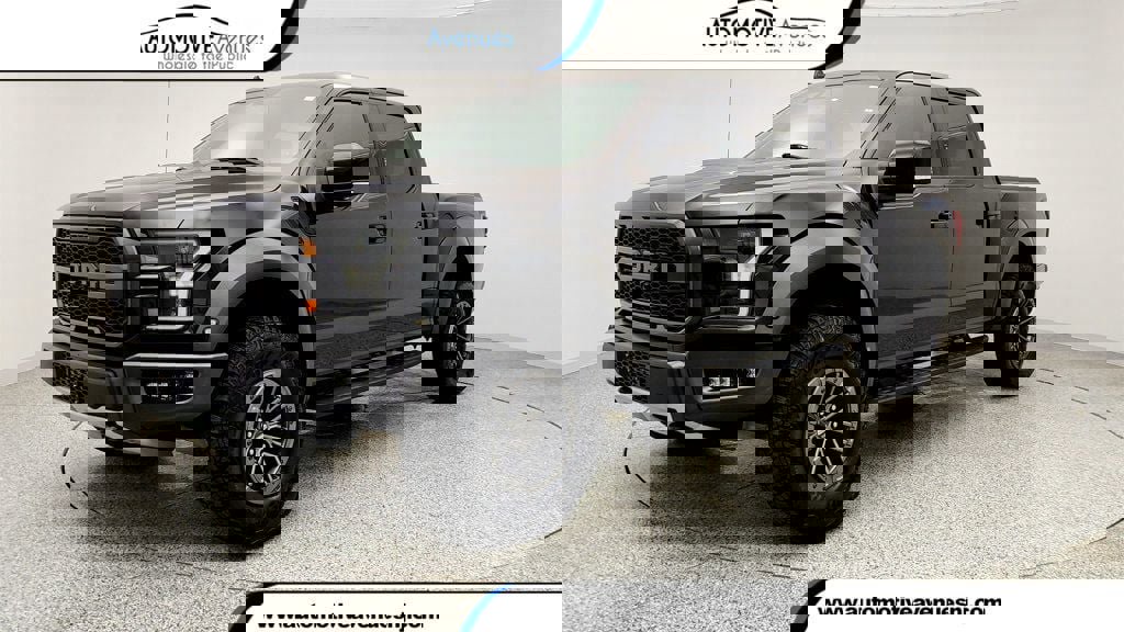 Used 2019 Ford F150 Raptor w/ Equipment Group 802A Luxury image 1