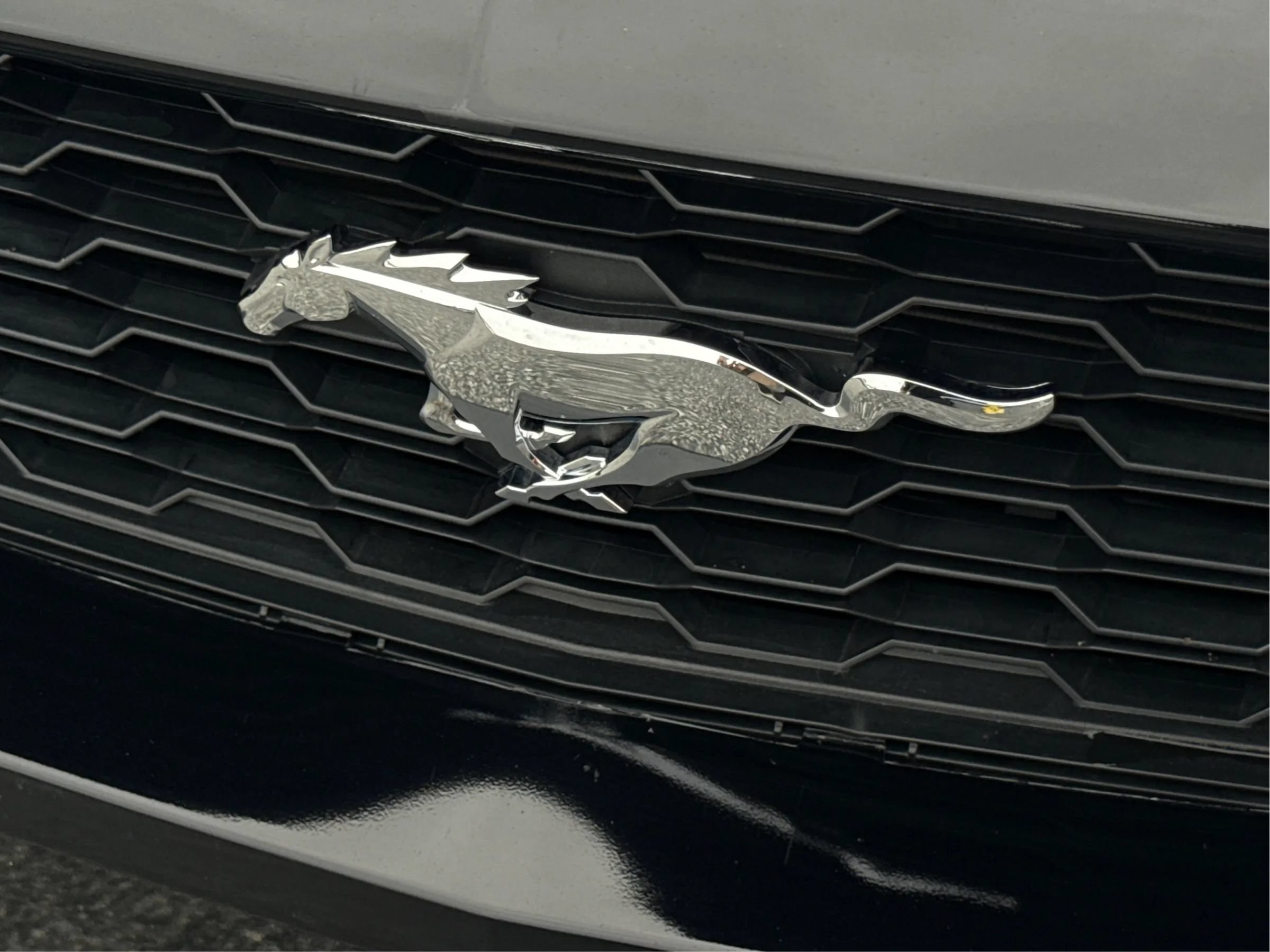 Used 2016 Ford Mustang Coupe RWD image 43