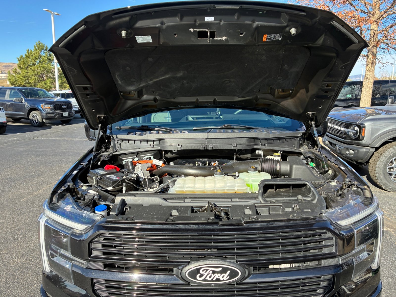 Certified 2024 Ford F150 Platinum image 22