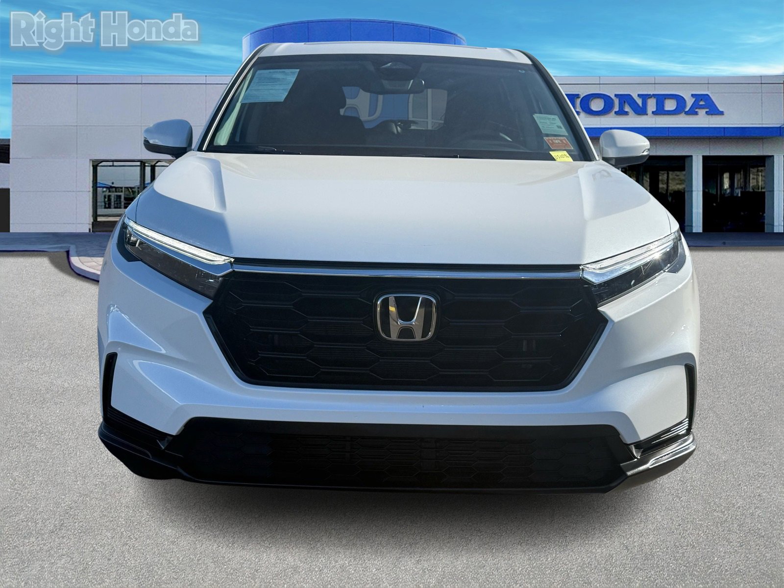 Certified 2025 Honda CR-V EX image 6