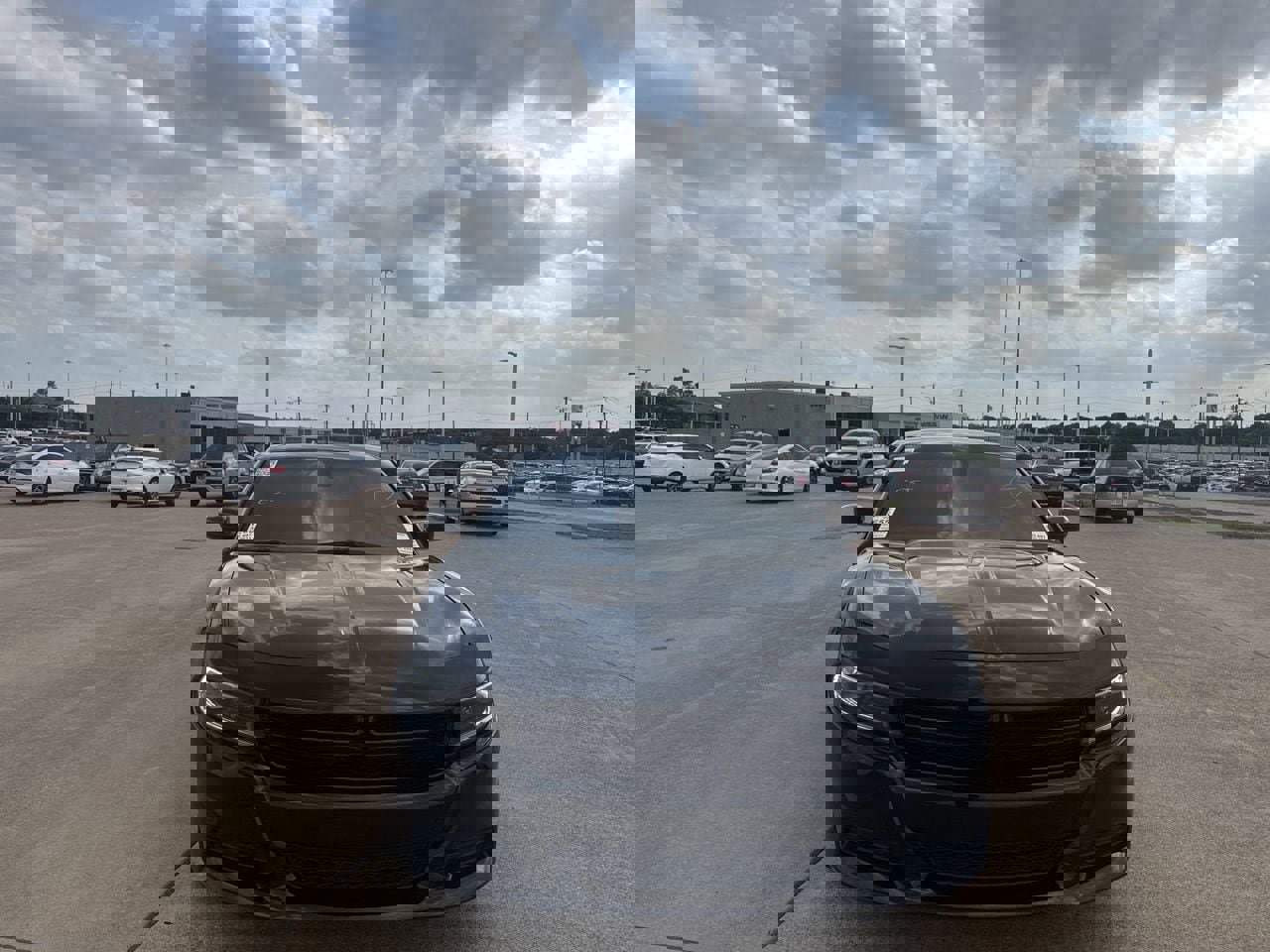 Used 2023 Dodge Charger SXT w/ Blacktop Package image 4