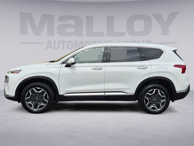 Used 2023 Hyundai Santa Fe Limited AWD/4WD image 2