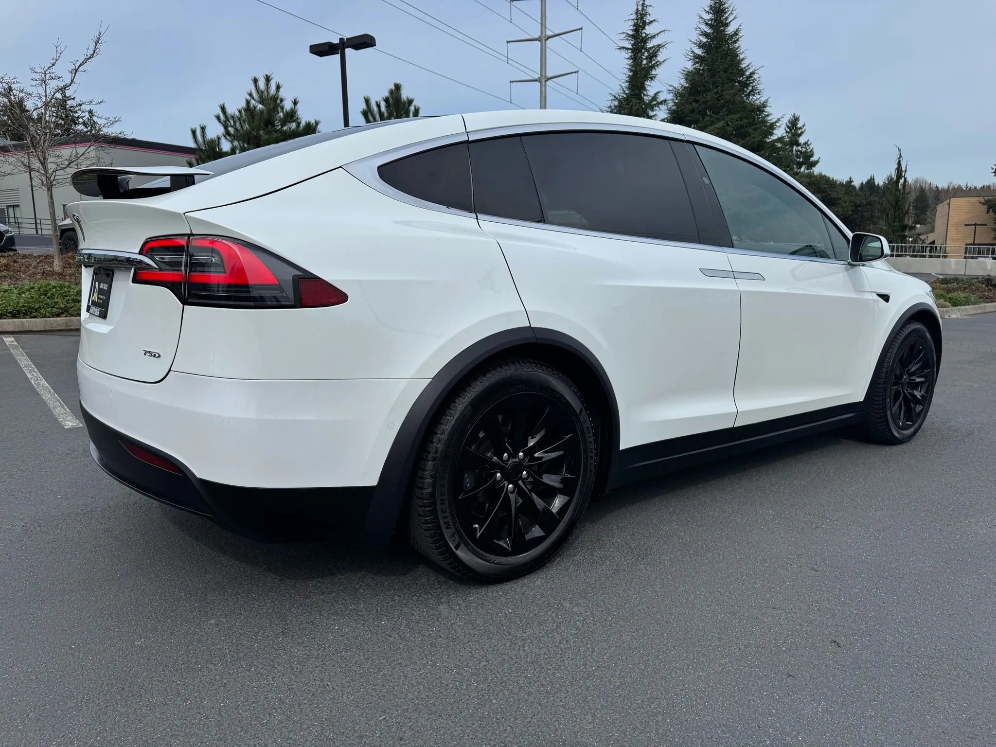 Used 2017 Tesla Model X 75D image 11