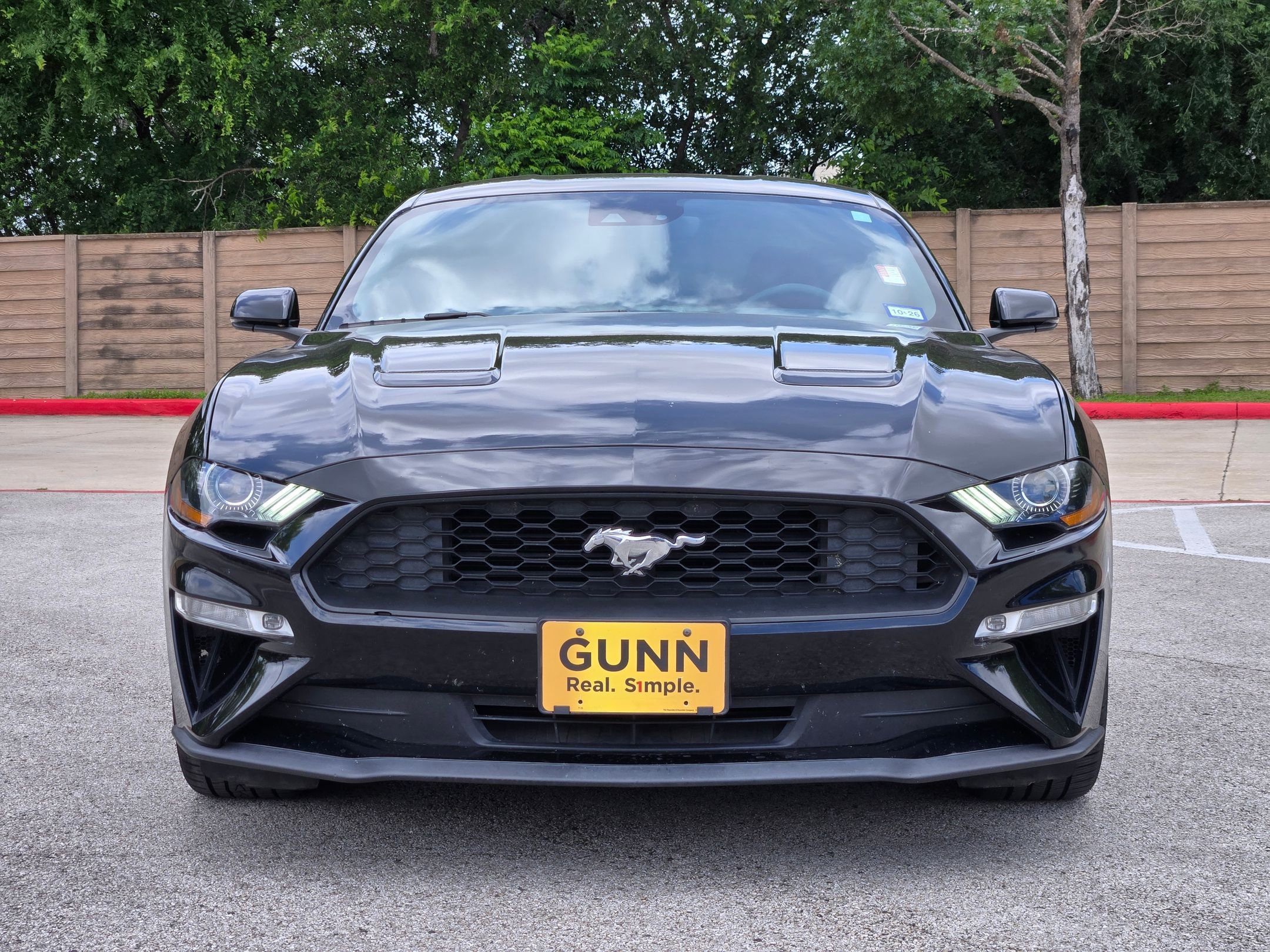 Used 2019 Ford Mustang Premium w/ Equipment Group 201A RWD image 8