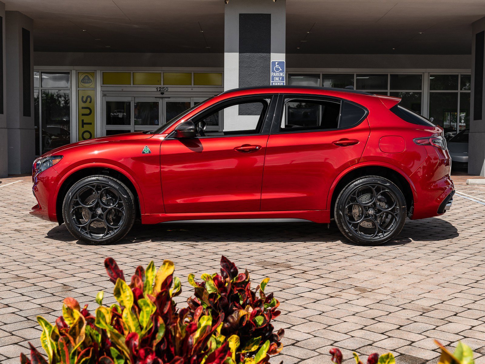 New 2024 Alfa Romeo Stelvio Quadrifoglio image 7