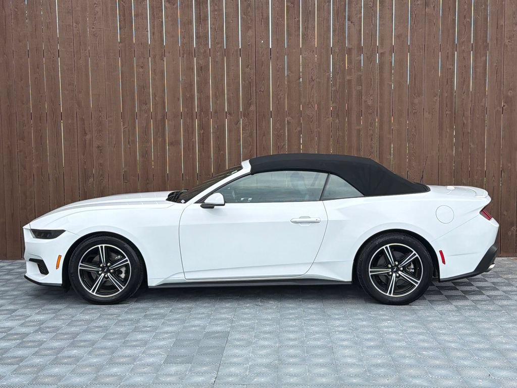 Used 2025 Ford Mustang Premium RWD image 15