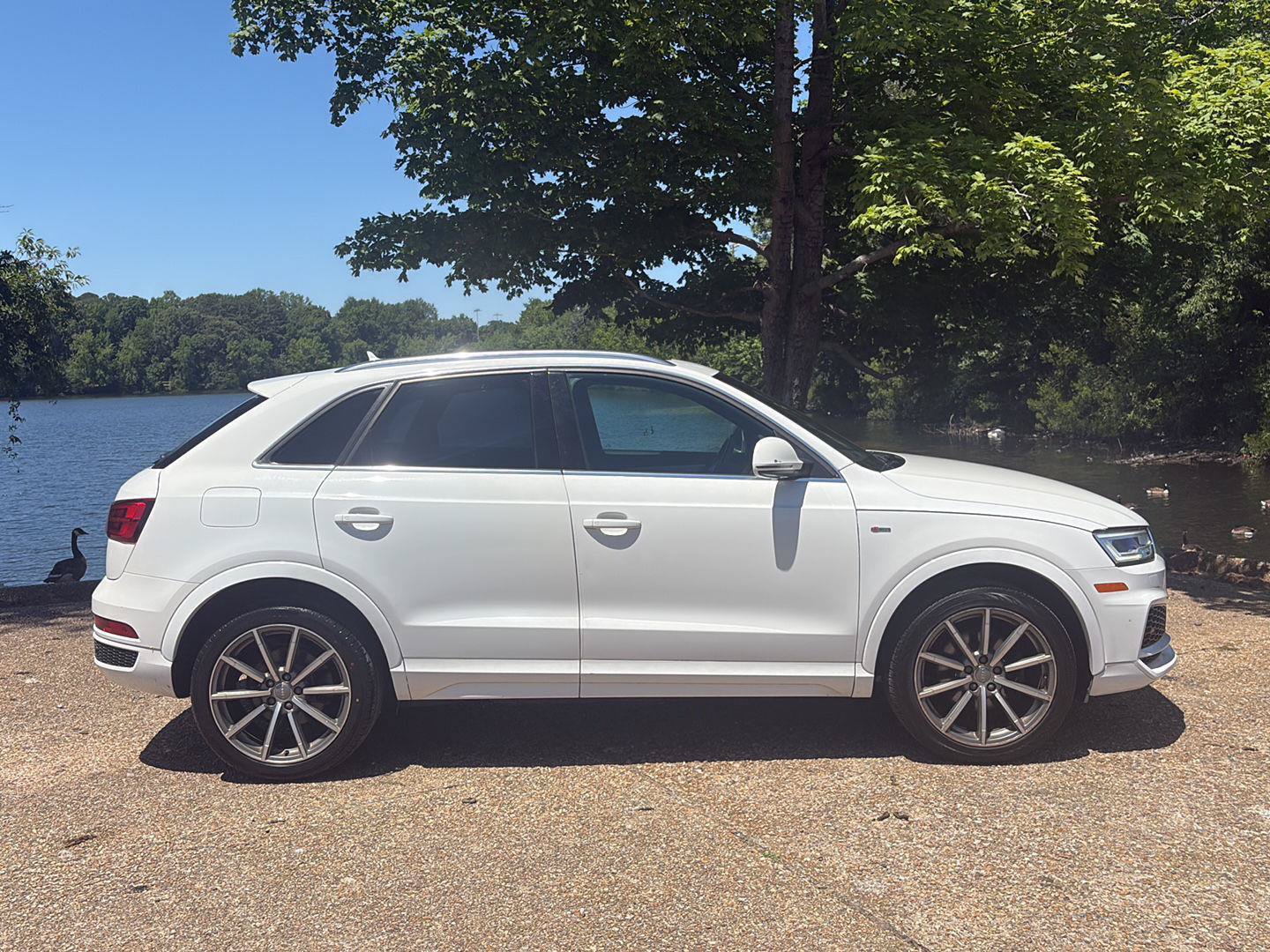 Used 2018 Audi Q3 2.0T Premium Plus w/ Premium Plus Package AWD/4WD image 3