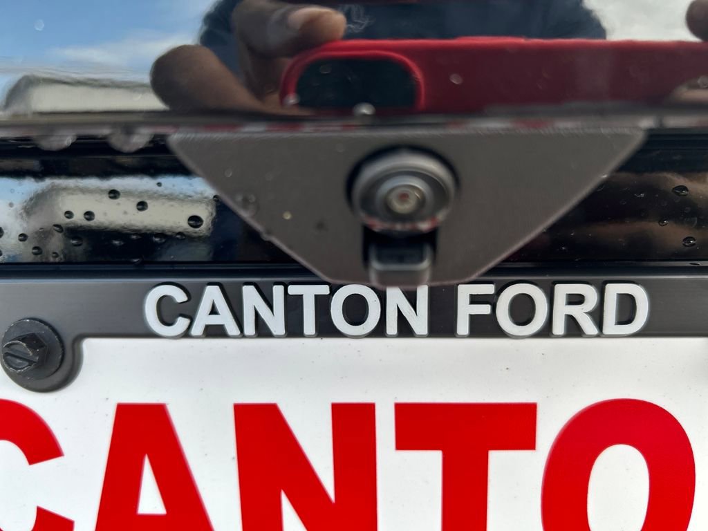 New 2025 Ford Expedition Active image 10