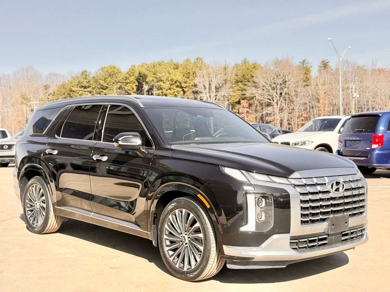 Used 2024 Hyundai Palisade Calligraphy image 6