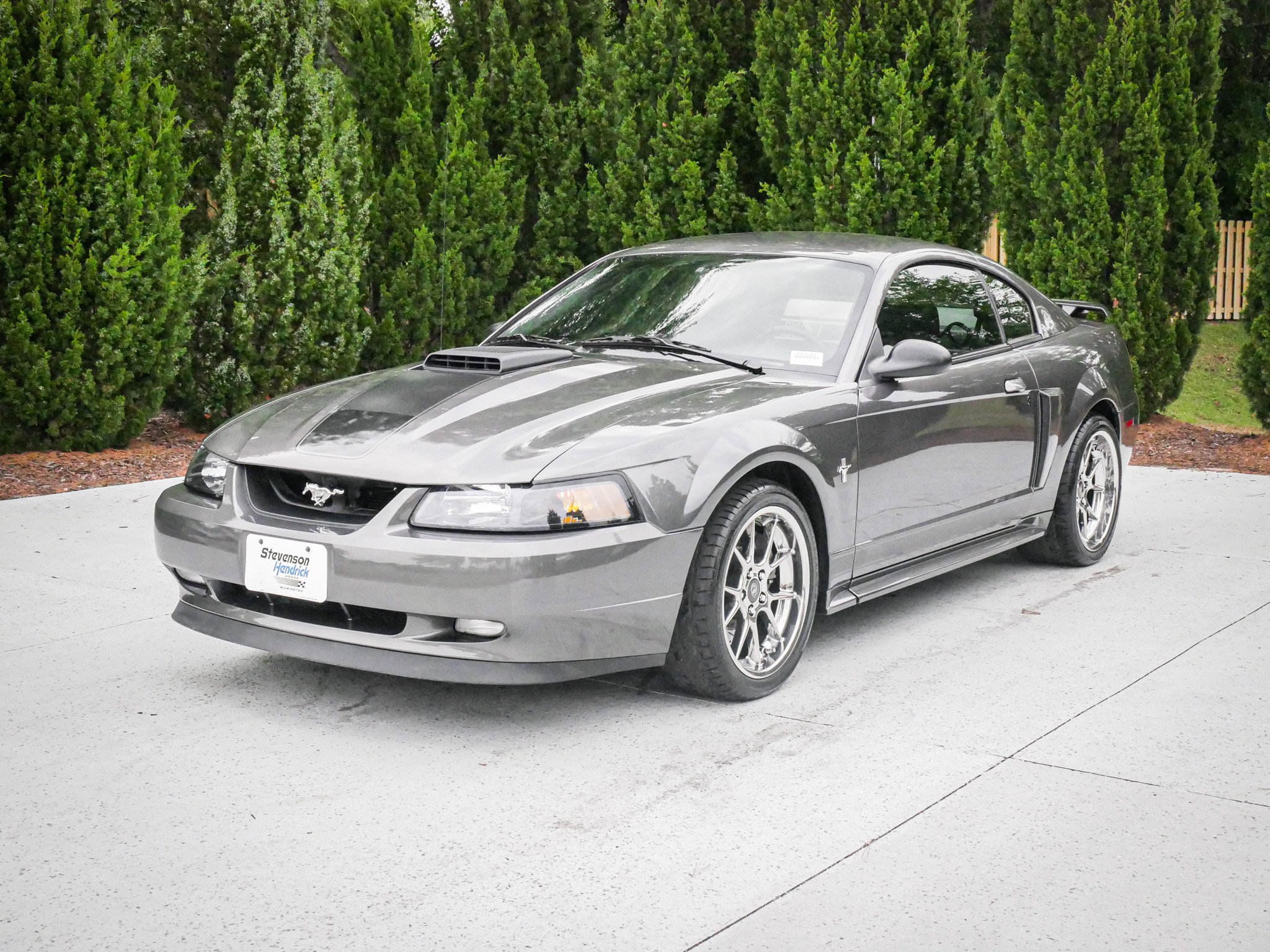 Used 2003 Ford Mustang Mach 1 RWD image 5