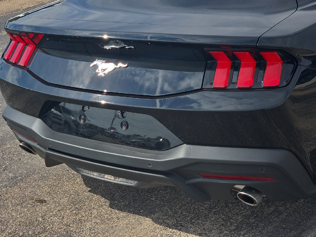 Used 2026 Ford Mustang Coupe RWD image 14