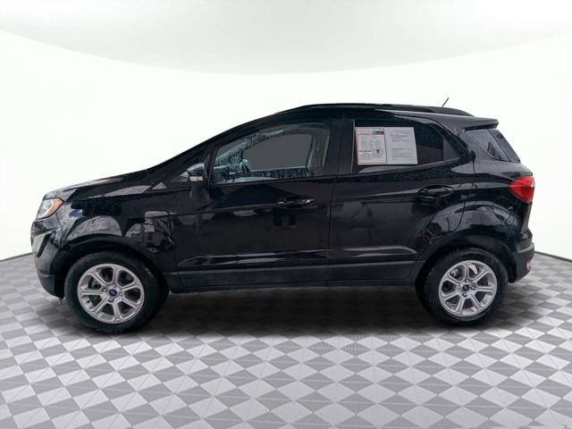 Used 2020 Ford EcoSport SE image 6