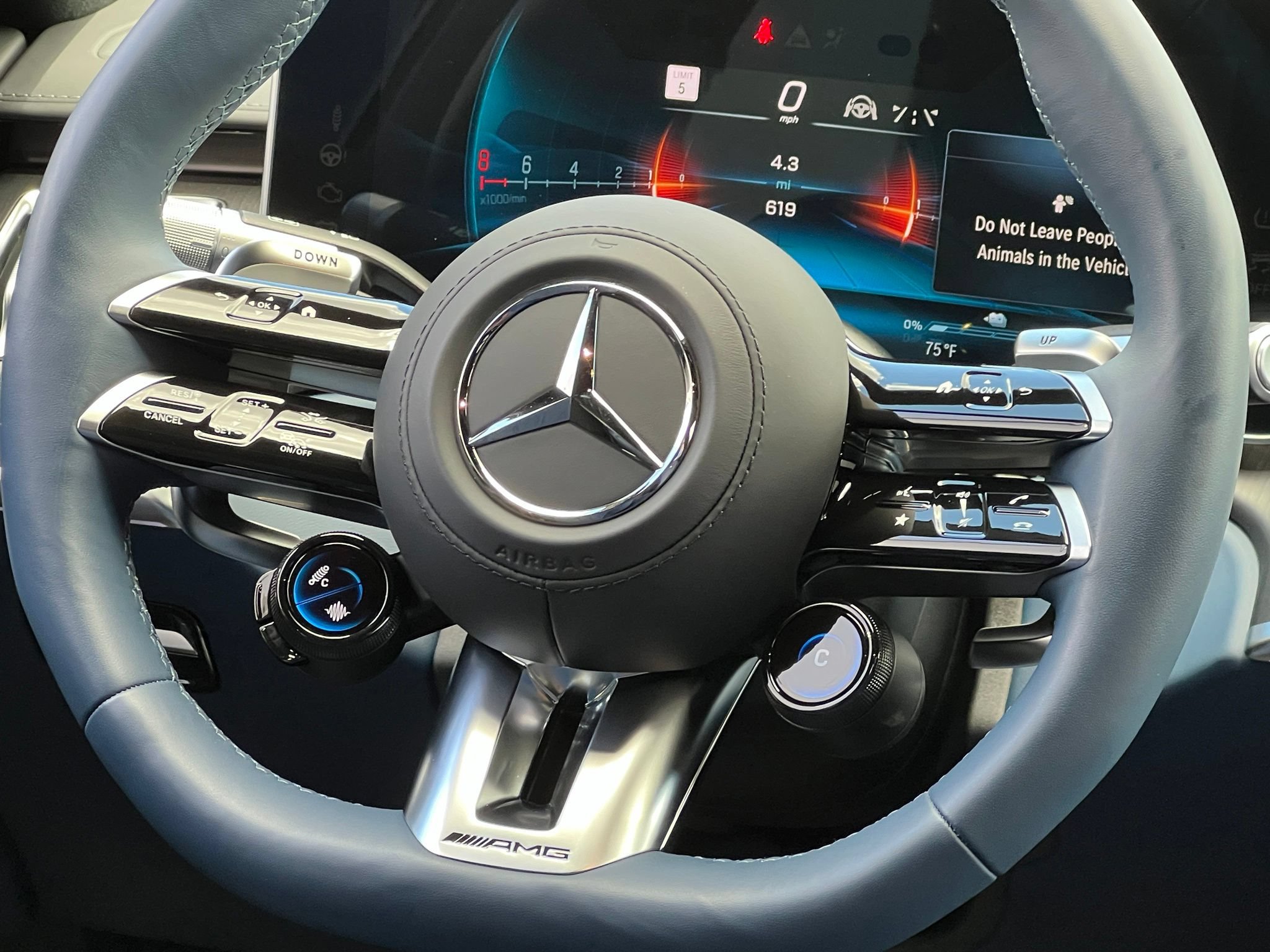 Used 2025 Mercedes-Benz S 63 AMG S image 30