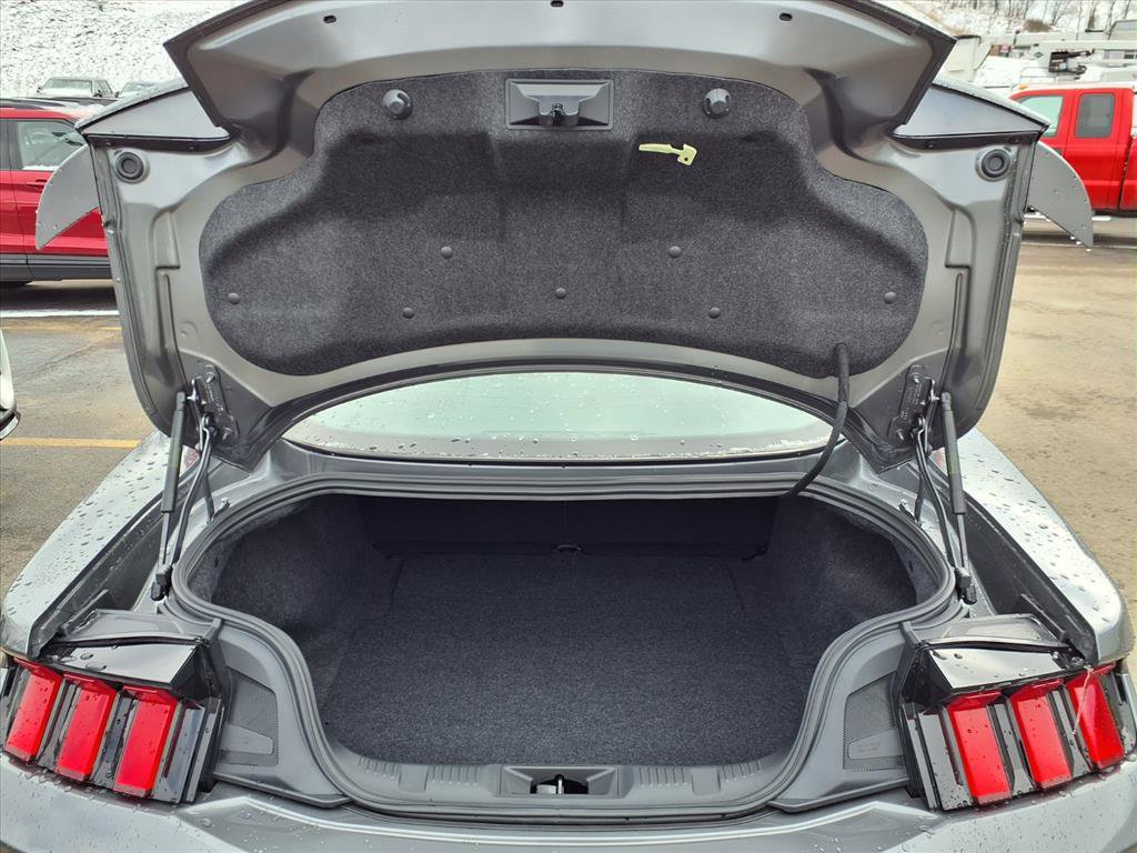 Certified 2025 Ford Mustang GT Premium image 10
