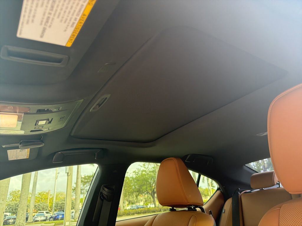 Used 2023 Lexus IS 300 w/ Comfort Package image 6