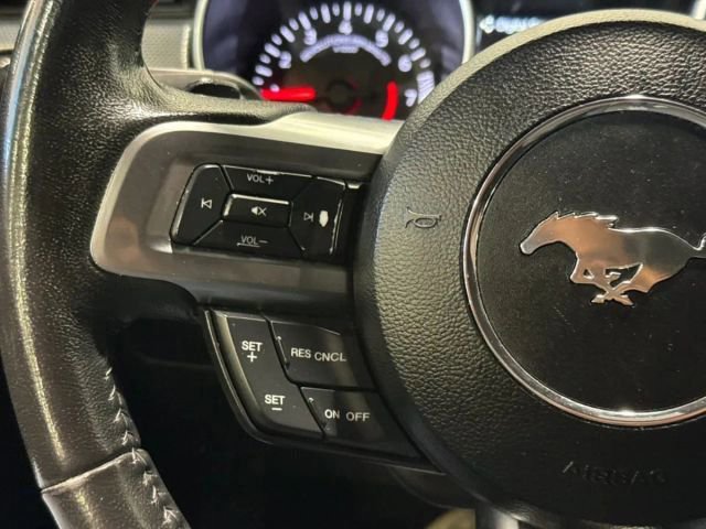 Used 2019 Ford Mustang EcoBoost w/ Equipment Group 101A image 14