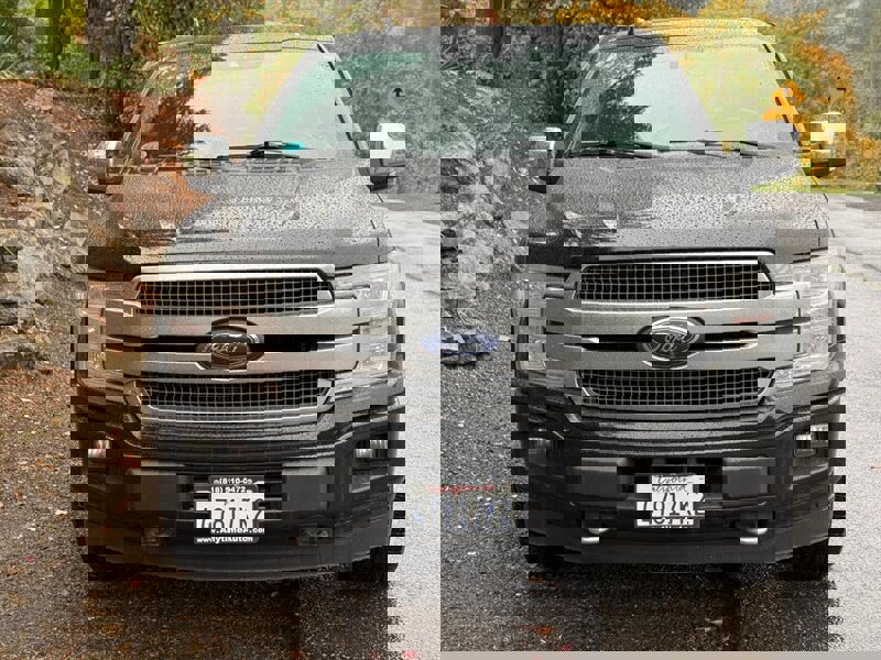 Used 2018 Ford F150 Platinum w/ Equipment Group 701A Luxury image 4